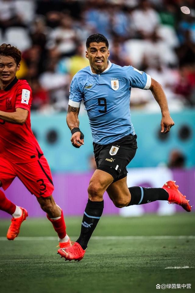 西班牙绝杀比利时,苏亚雷斯爆发神勇的简单介绍 西班牙绝杀比利时,苏亚雷斯爆发神勇的简单介绍