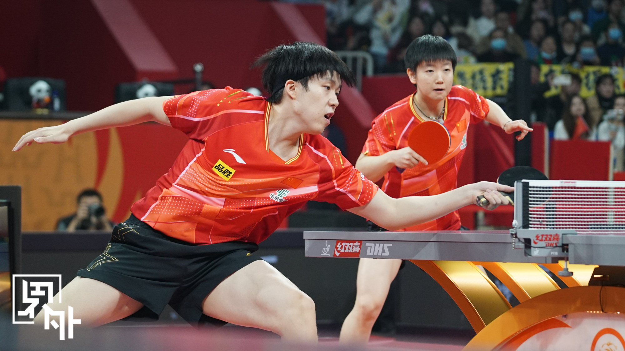 德国乒乓球队鏖战韩国乒乓球队，波尔一己之力扛起全队的简单介绍